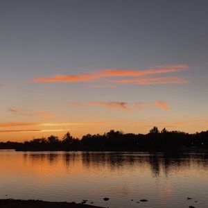 Meet your Posher, Isobel